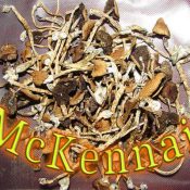 5g magic mushrooms shrooms McKennaii
